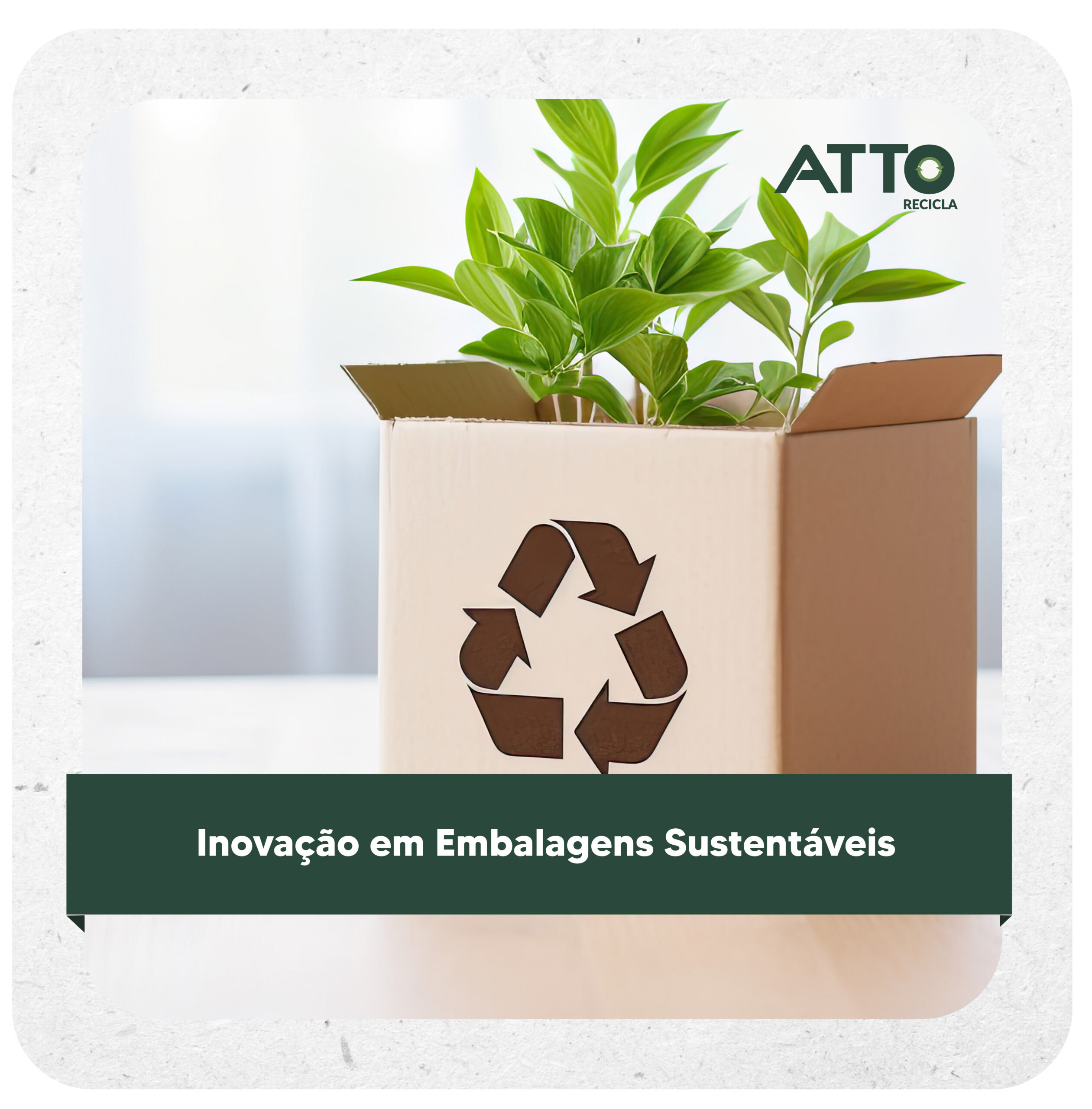 Inovação em Embalagens Sustentáveis